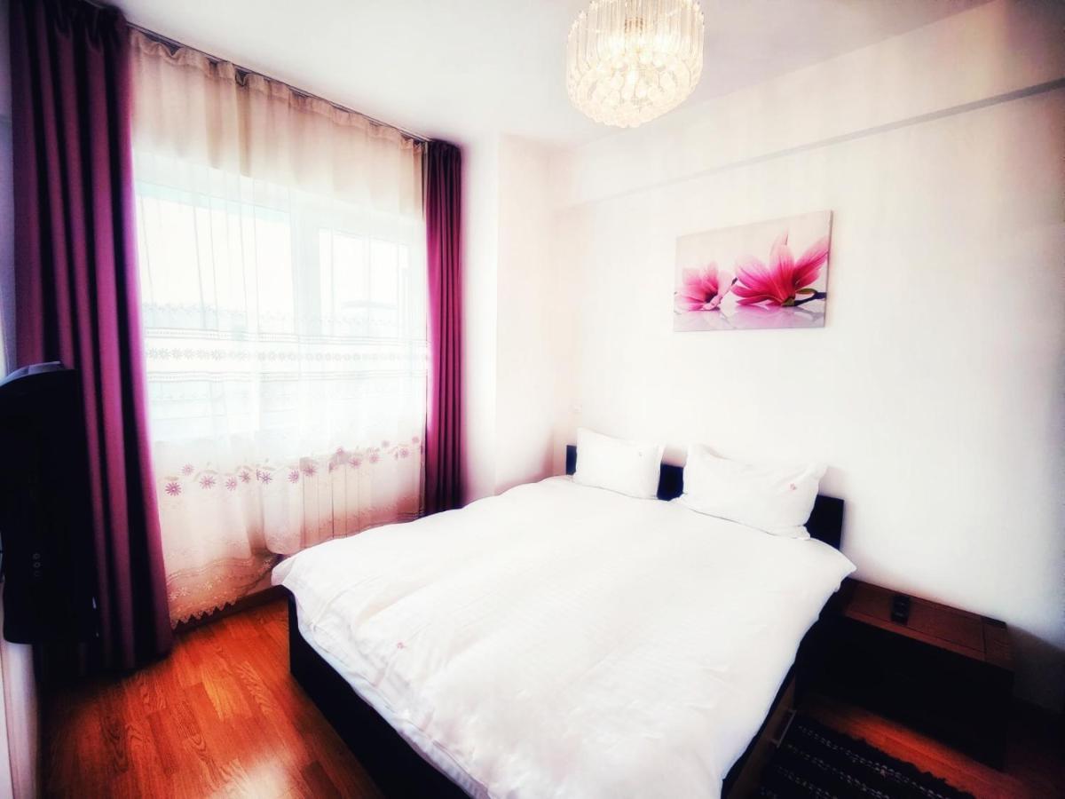 Business Apartments Kluż-Napoka Zewnętrze zdjęcie