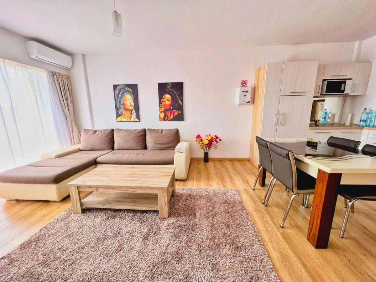 Business Apartments Kluż-Napoka Zewnętrze zdjęcie